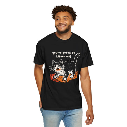 "You've Gotta Be Kitten Me!" Cat Graphic T-Shirt — Cute Retro Playful Kitty Tee
